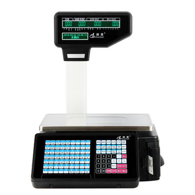 Nauwkeurige Elektronische Digitale het Wegen Schaal/Prijs Gegevensverwerkingsschaal met Etiketprinter